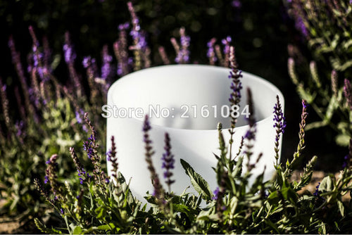 Quartz Crystal Singing Bowls for Sound Therapy with one free suede and o ring