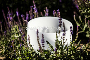 Quartz Crystal Singing Bowls for Sound Therapy with one free suede and o ring