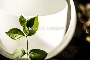 Quartz Crystal Singing Bowls for Sound Therapy with one free suede and o ring