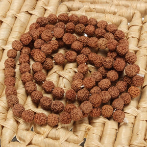 Hot Sale Natural Rudraksha Japa Mala 108 +1 Bead Hindu Prayer Meditation Buddhist for Meditation Practice Bracelet #1219